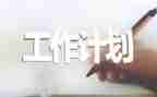 计划员工作总结与计划推荐5篇