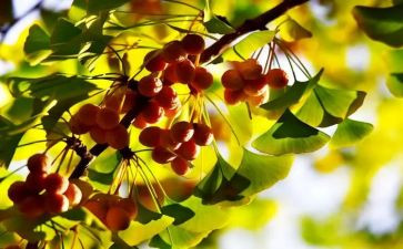 季节作文500字6篇