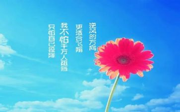 学习激励演讲稿5篇