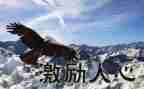 激励公司员工的演讲稿5篇