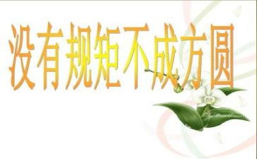 对纪律执行情况自查报告8篇