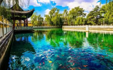 吊济南读后感模板6篇