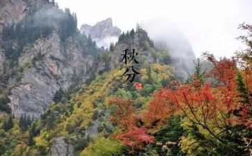 小满节气幼儿园教案5篇