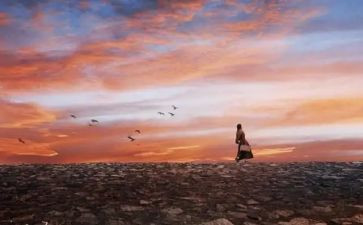 特别的经历的作文5篇