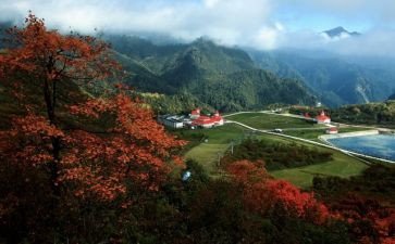 景区安全自查报告5篇