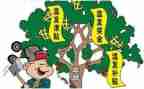 违规发放津贴的自查报告6篇