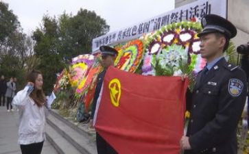 烈士陵园祭扫活动方案5篇