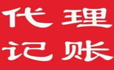 村记账员工作总结5篇