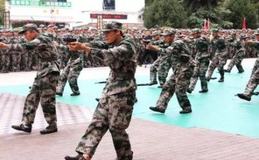军训自我鉴定表自我鉴定5篇