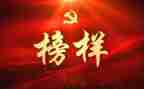 党楷模演讲稿8篇