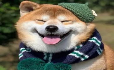 开心小作文二年级作文7篇