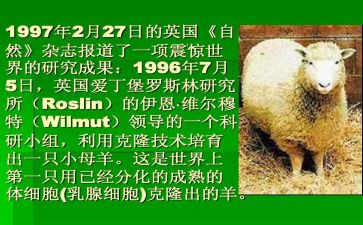 克隆的我作文400字7篇