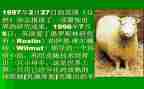 克隆的我作文400字7篇