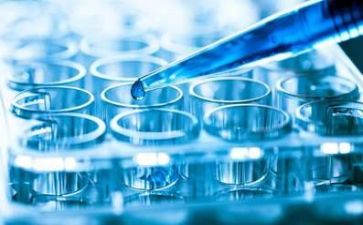 科研活动总结6篇