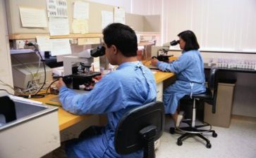 科研工作自查报告5篇