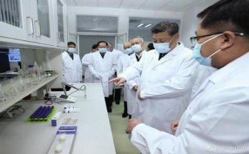年度科研工作报告8篇
