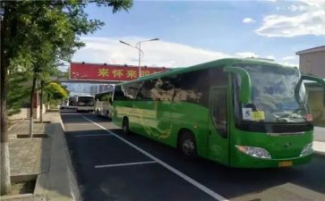 客运企业2023春运方案6篇