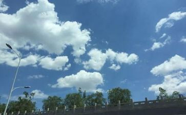 幼儿园空气棒教案6篇