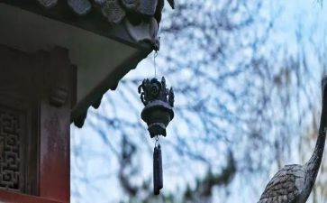 苦儿流浪记读后感精选5篇