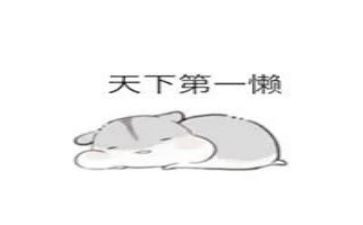 我的懒妹妹作文7篇