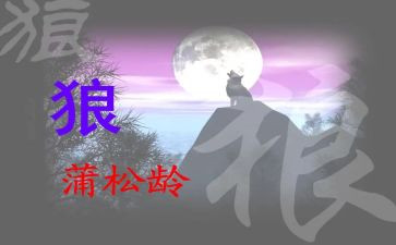 《狼》西顿读后感模板7篇