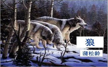 《狼》读后感200字参考6篇