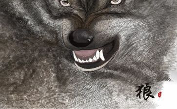 《狼》读后感600一700字优质5篇