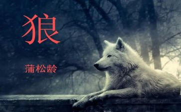 《狼》读后感600一700字参考7篇