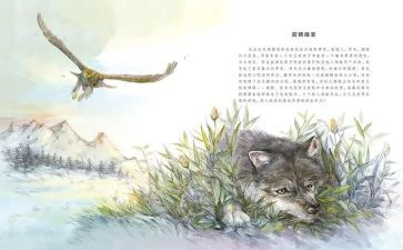 狼王梦,读后感8篇