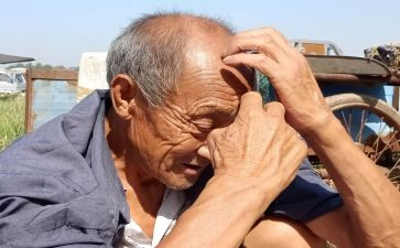 哑老人读后感模板5篇