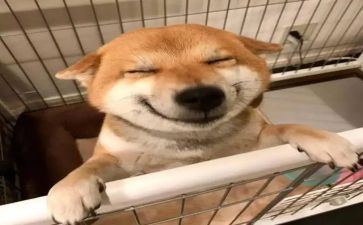 我的乐园作文300~400字8篇