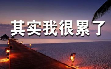 和累西游记读后感推荐5篇