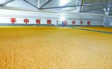 粮库工作总结范文7篇