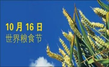 粮食节演讲稿模板7篇