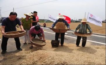 粮食节演讲稿通用5篇