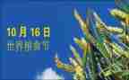 粮食节演讲稿模板7篇
