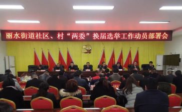 2024年村两委工作总结5篇