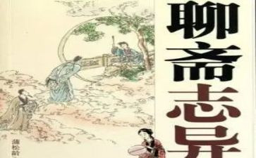 看聊斋读后感5篇