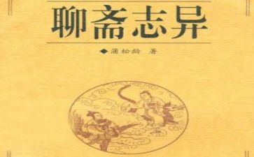 聊斋志异狼的读后感通用8篇