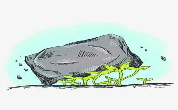 《力量》读后感8篇