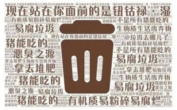 垃圾分类社会调查报告5篇