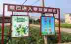 关于垃圾的调查报告范文6篇