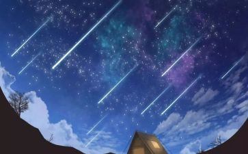 流星记读后感5篇