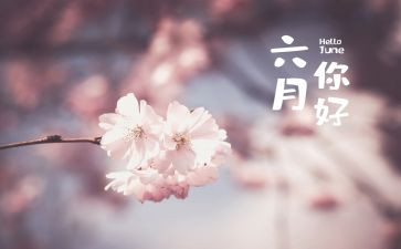 2024幼儿园六月份工作计划精选5篇