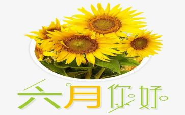 六月大班工作总结5篇