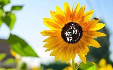 2024幼儿园六月份工作计划参考6篇