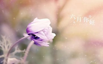 2024幼儿园六月份工作计划6篇