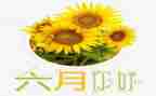 六月份工作总结优秀5篇
