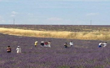 汤姆索亚历险记读后感400字8篇