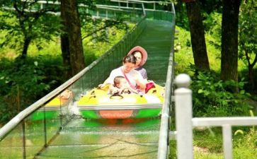 汤姆索亚历险记里的读后感最新5篇